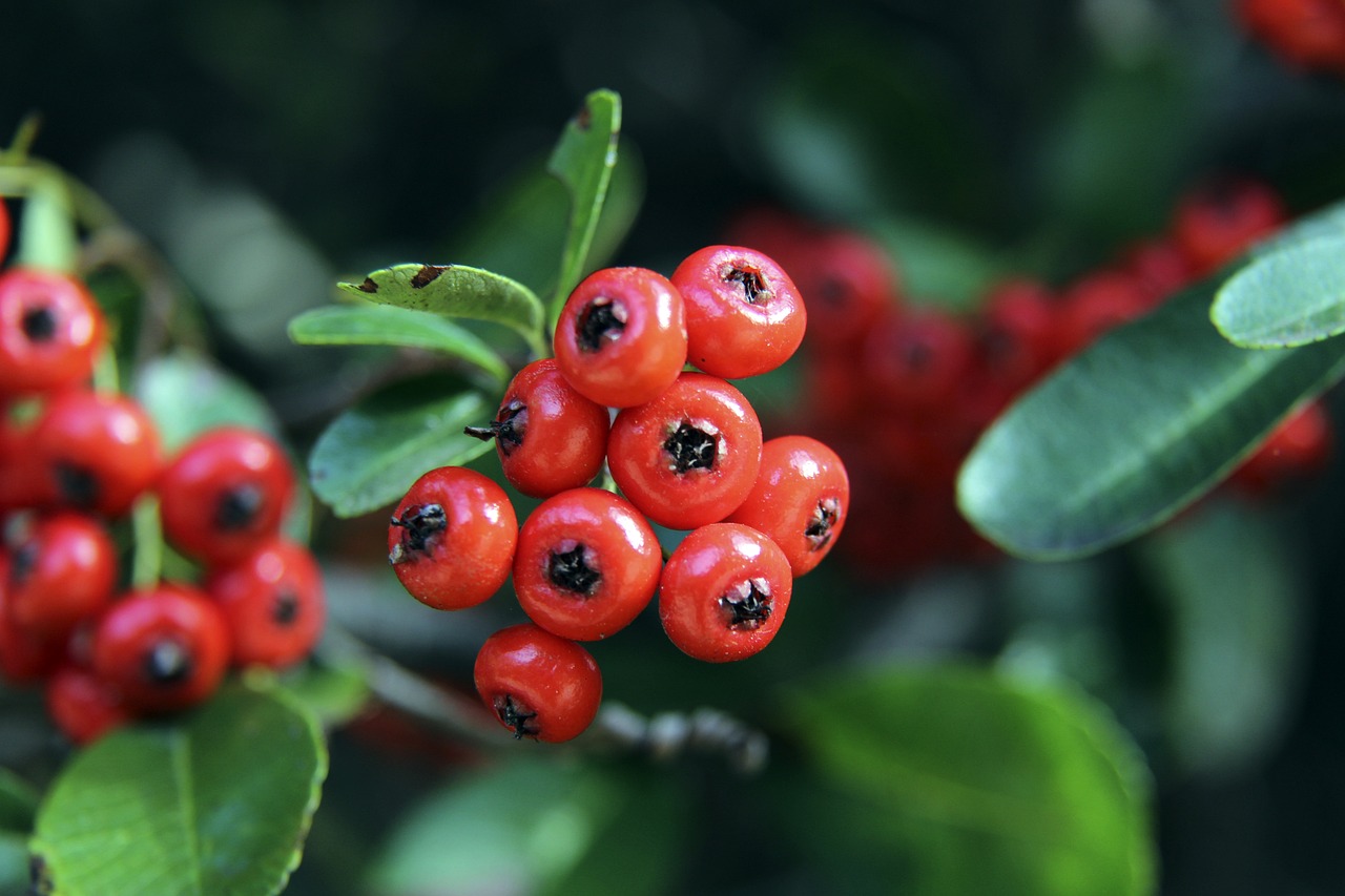 而王磊如果 而王磊如果