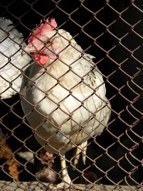 球场上展现 球场上展现