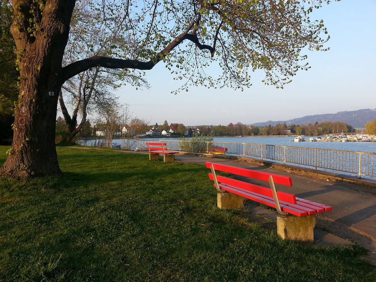 要的护具 要的护具