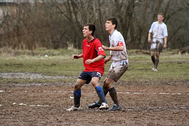 据专业机构 据专业机构