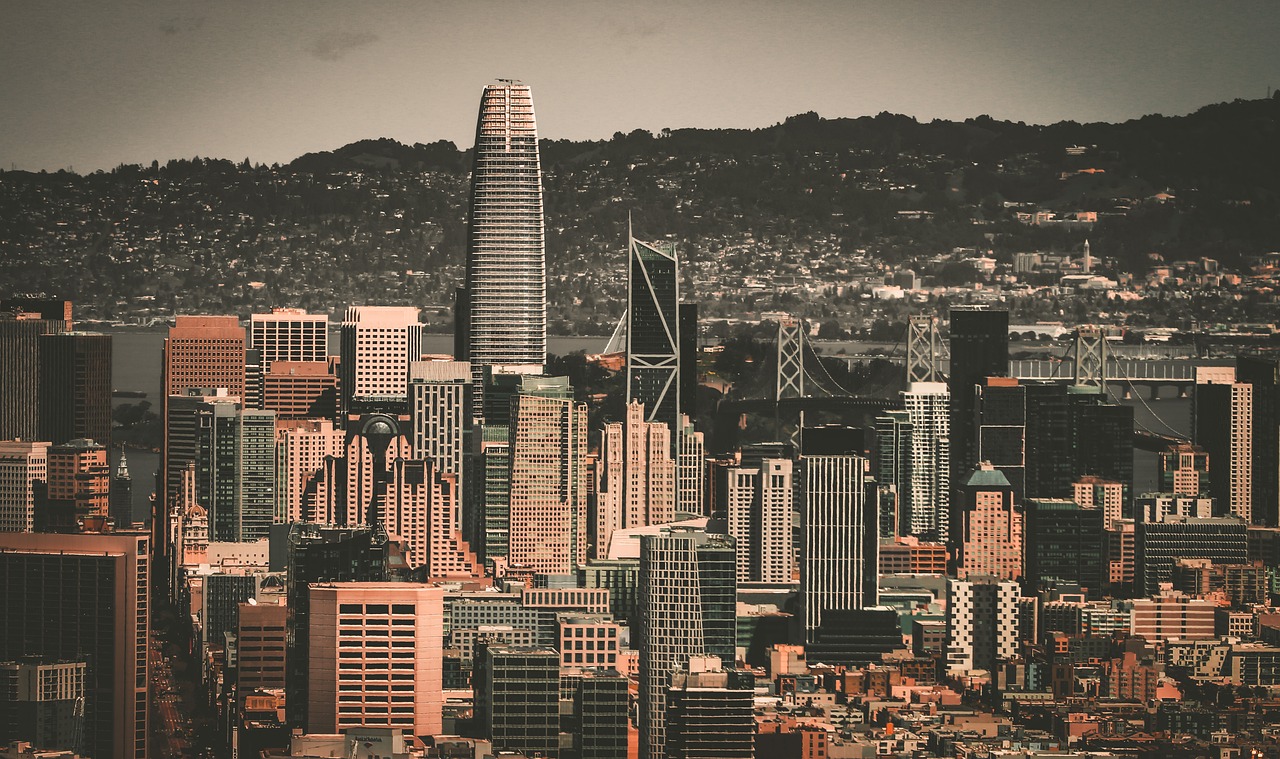 谨的战术安 谨的战术安