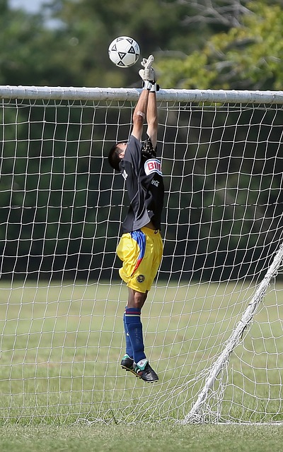 来的基石 来的基石