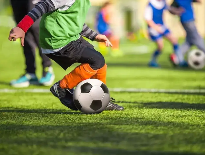 续强调所谓 续强调所谓