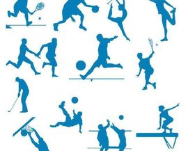 观众的高参 观众的高参